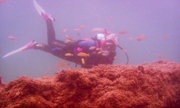 In Florida, New Artificial Reef for Diving