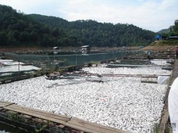 Mining Discharge Pollutes Historic River in Southern China