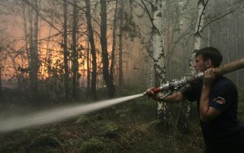 Russia Forest Fires Leave 25 Dead
