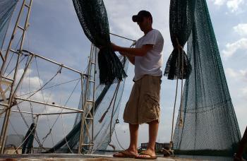 First Season Since Spill, Gulf Shrimpers Concerned