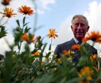 Prince Charles Answers ‘Loony’ Accusations
