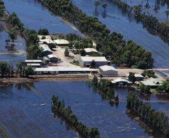Australia Floods: Death and Damages Toll Spreads Outside Queensland