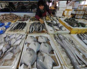 Chinese Fish Drowning in Antibiotics