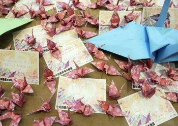 Worldwide Origami Initiative Aims to Give Hope to Quake Victims