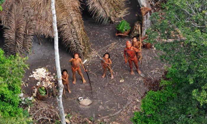 Uncontacted Tribes in the Amazon: Isolated by Choice