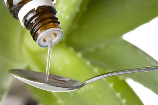 Aloe vera has antibacterial, antifungal, and antiviral properties (Sage78/iStock)