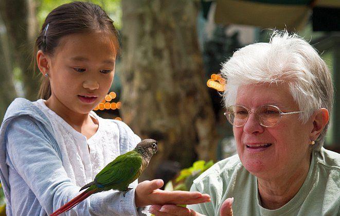 Rescued Exotic Birds Delight Children at Bryant Park