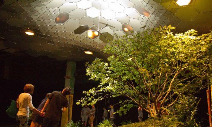 Next Hurdle Cleared for Lowline in NYC