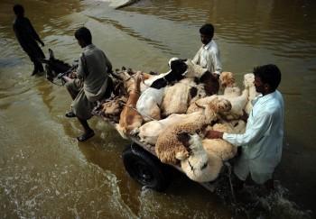 Floods Affect More Than 7 Million in Pakistan
