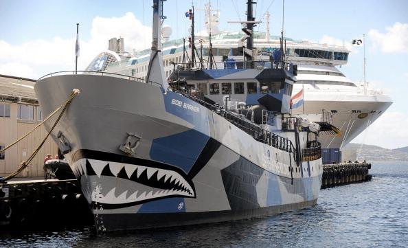 Whalers, Activists Clash in Antarctic