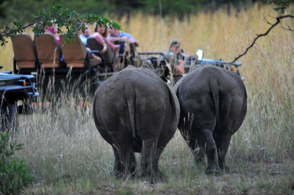 South Africa Seizes Millions in Rhino Poachers’ Assets