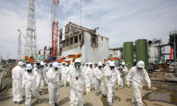 Why TEPCO Failed to Prevent the Fukushima Disaster