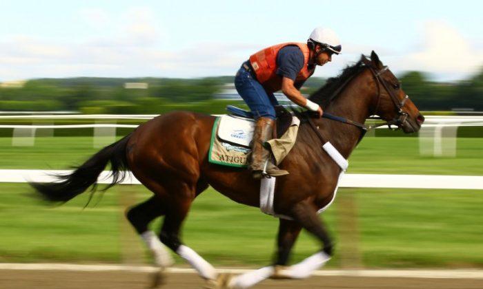 Strike May Affect Saturday Belmont Stakes