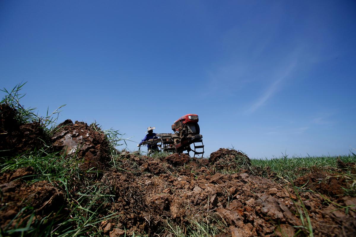 Thai Farmers Told to Wait for Rain, Save Water for Public