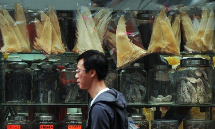 Hong Kong Airliner to End Shark Fin Transport