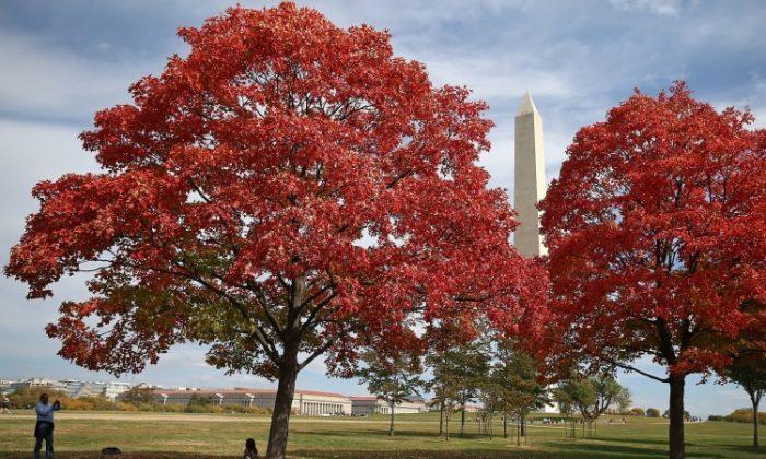 Fall Foliage Spreads Around Nation’s Capital (Photo)