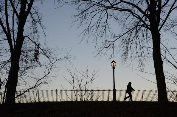 Crime Increase in NYC Parks ‘Very significant,’ Says Council Member