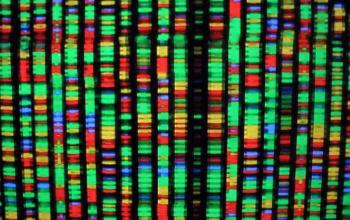 DNA: The Divine Message