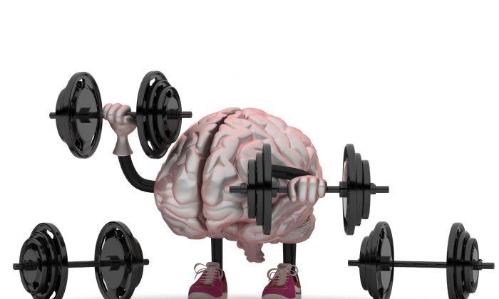 The Fallacies of ‘Brain Training’