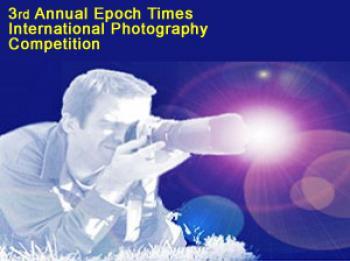 Preliminary Selection for Epoch Times Photography Competition Completed