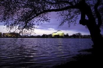 National Cherry Blossom Festival Underway in Washington