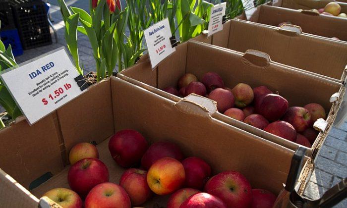 State Legislation Would Aid Apple Growers Hit by Frosts