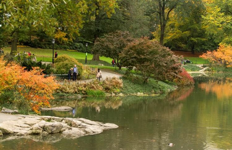 Celebrating Fall in New York City (Photos)