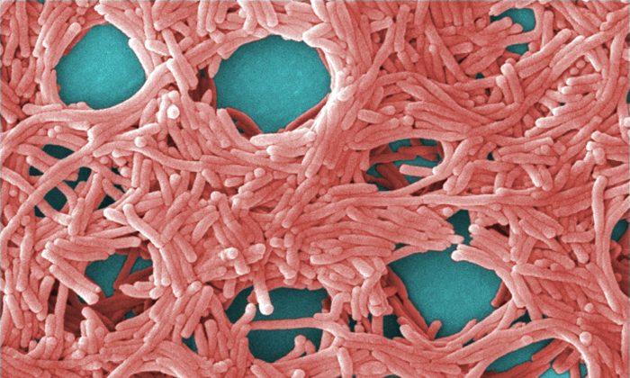 Legionnaires’ Disease Outbreak in South Bronx Raises Water Quality Questions: What You Need to Know