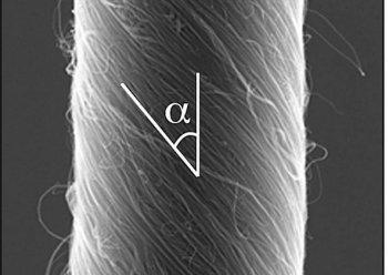 Flexing Carbon Nanotube Motor Mimics Muscles