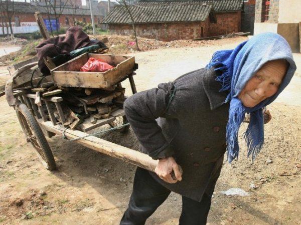 An elderly Chinese woman uses a cart to collect firewood for cooking near the Yangtze River city of Jiujiang, on March 7, 2007. (Mark Ralston/AFP/Getty Images)