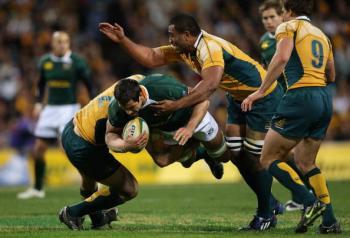 Wallabies Face Wounded ‘Boks