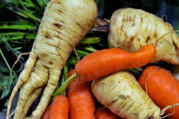 Wonky Fruit and Vegetables to Enter EU Market