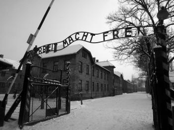 Auschwitz Sign Theft Commissioned by Collectors, Police Say