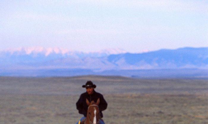 Sheep Herders of the West: An Unconventional Immigrant Story