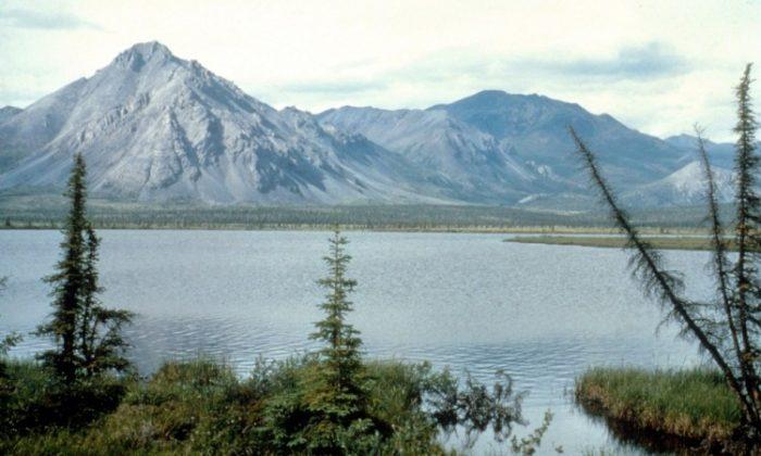 Federal Officials Develop Alaskan Arctic Ecomanagement Plan