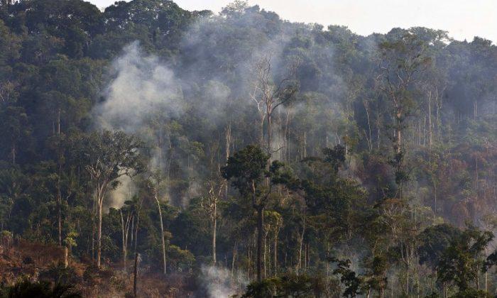 Indigenous People Farmed the Amazon Without Fire