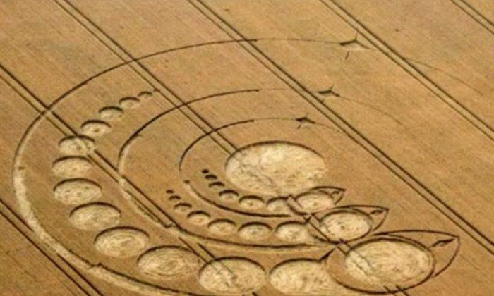 New Crop Circles in the UK: August 2012
