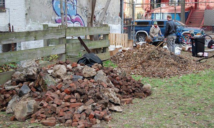 Changing Brooklyn One Acre at a Time