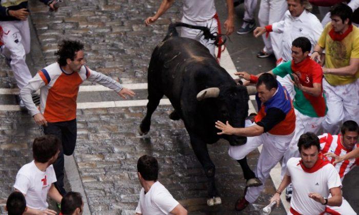 Several Injured in Spain’s Bull Run