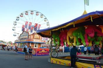 Entertainment and Art at the CNE
