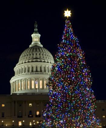 House Speaker Pelosi Lights the 2010 Capitol Tree