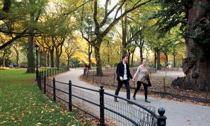 Central Park Gifted $100 Million From Billionaire