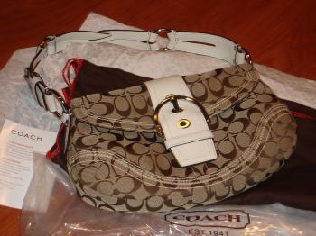 Coach Sues Chicago Over Counterfeit Bags