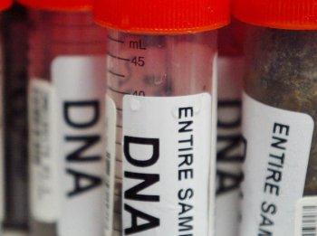Simplify DNA Sampling from Criminals, Committee Urges