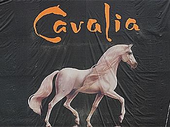 Cavalia Gallops Into Burbank