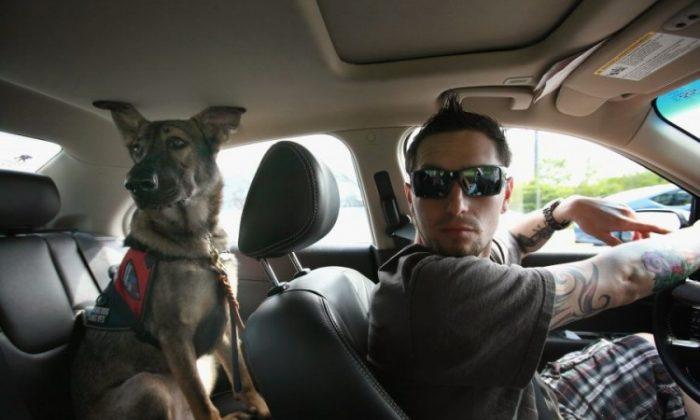 Service Dogs Aid Wounded Veterans (photo)