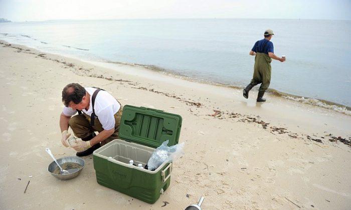 EPA Grants $10 Million for Beach Monitoring Systems