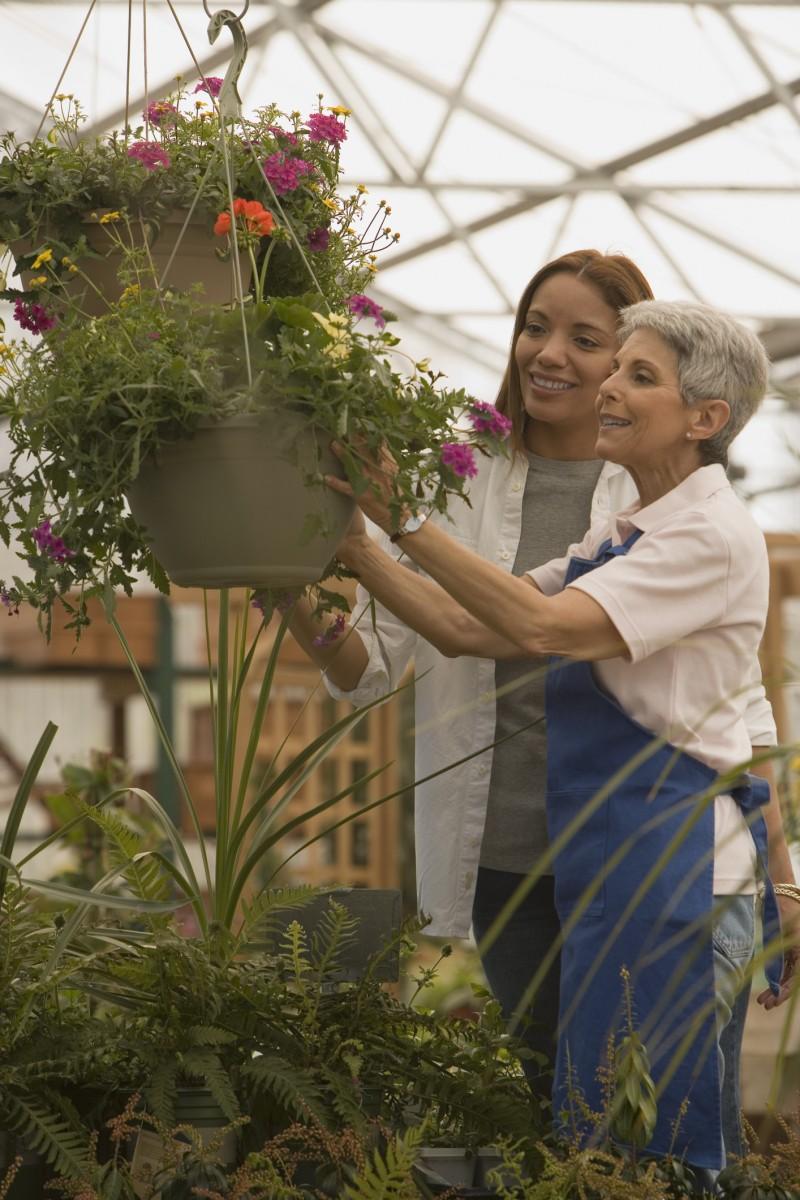 Canada’s Family Businesses Growing, but Struggle to Compete