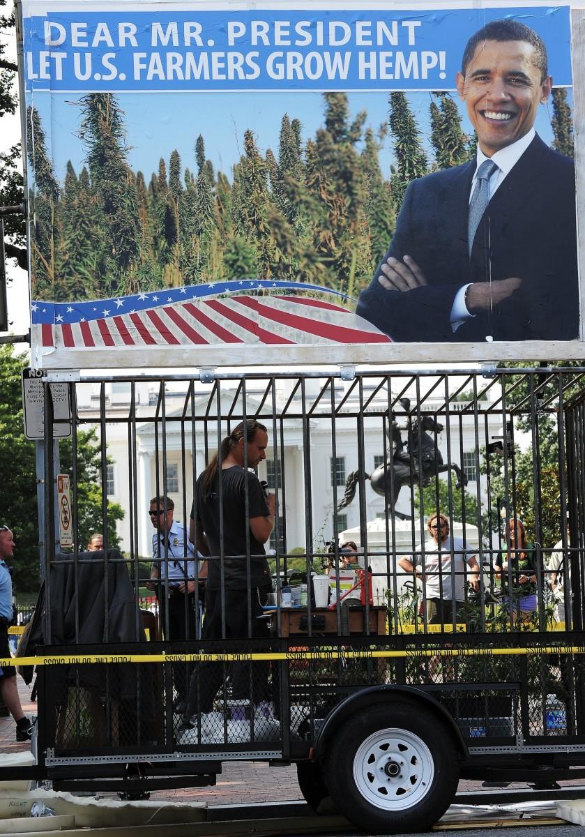 Lawmakers Push to Legalize Industrial Hemp