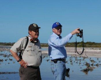 Florida Everglades: Government Plans for a New Environmental Conservation
